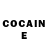 COCAIN Fish Scale natasha golobardova