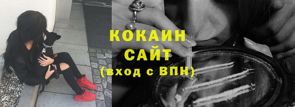 индика Абинск