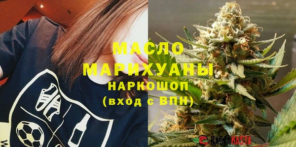 индика Абинск