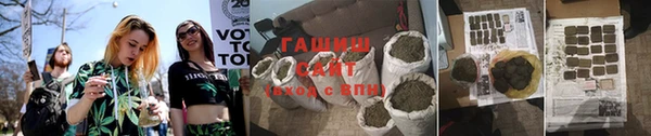 индика Абинск