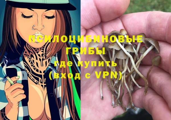 индика Абинск